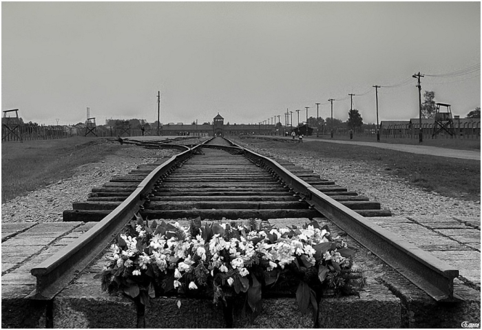 Auschwitz-Birkenau-la-ferrovia-della-morte-a30097277